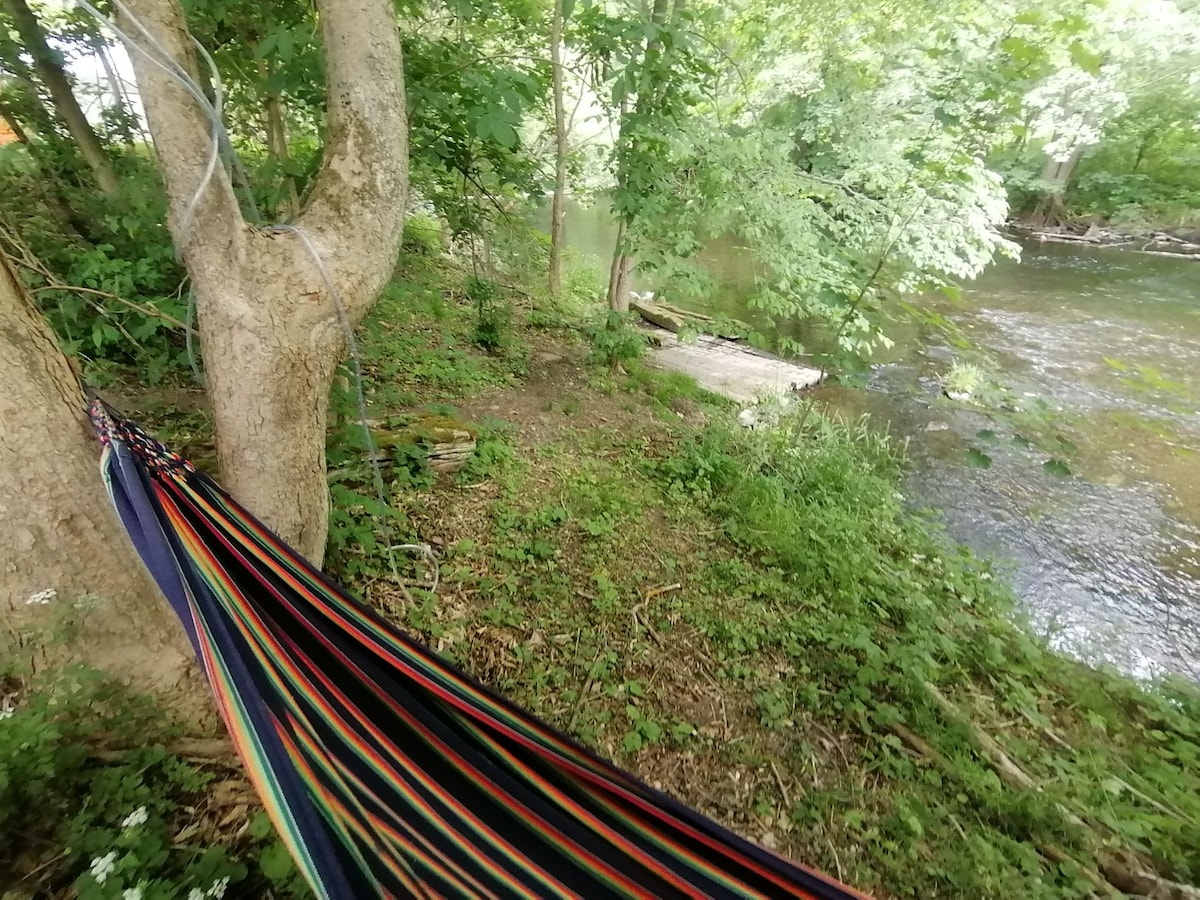 A colorful hammock is suspended between two trees by the riverside, surrounded by lush greenery. The serene water of the river flows gently nearby, enhancing the natural setting. Sunlight filters through the leaves, creating a peaceful and relaxing atmosphere.