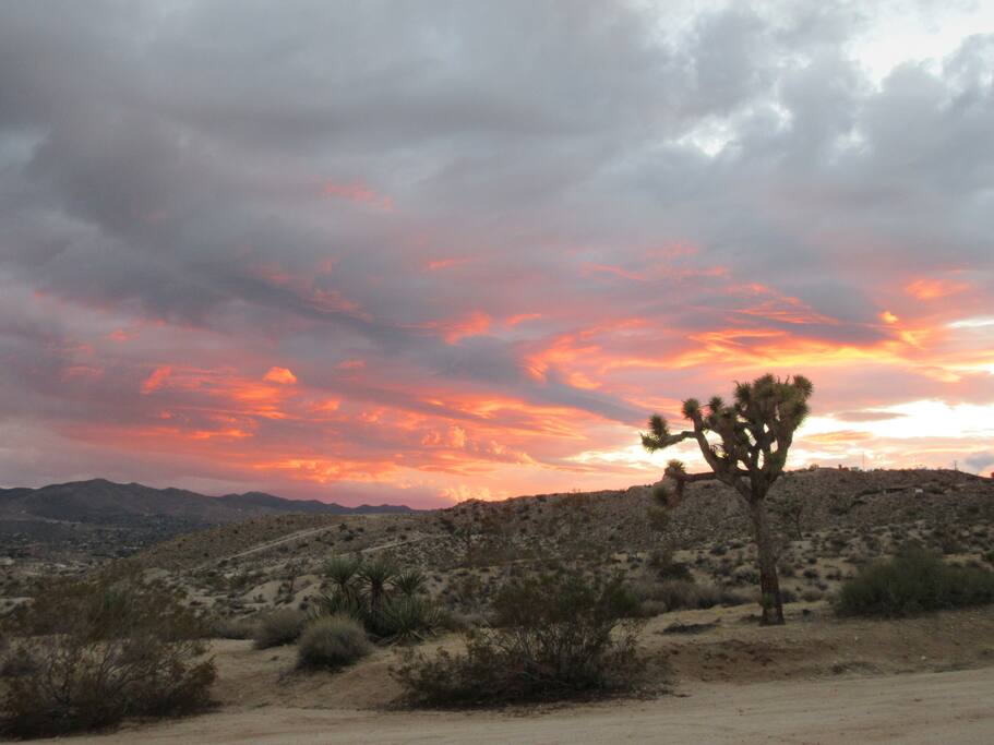 Out front at sunset.
