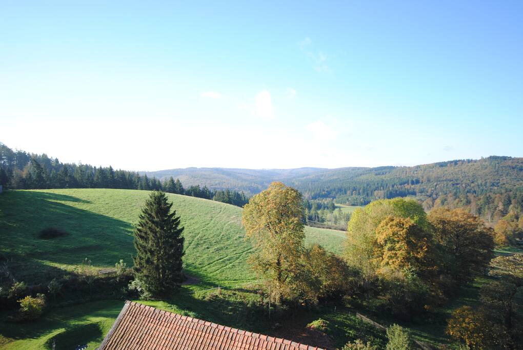 Der Ausblick!