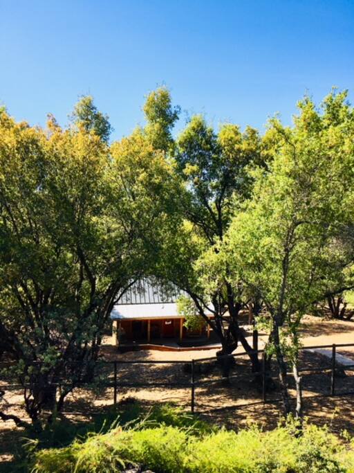 outside cabin
