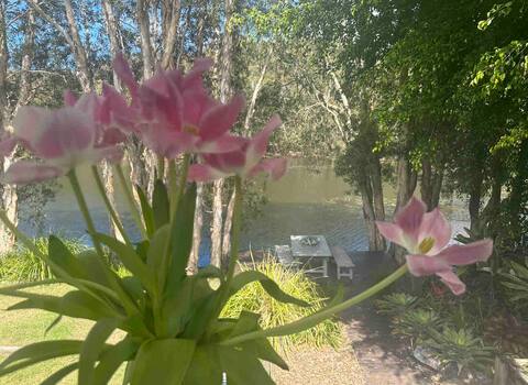 Cabarita -Scenic Water Front -Stroll to the Beach