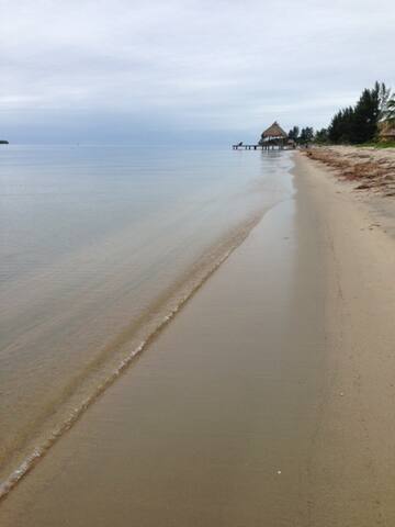 Contemporary seafront villa. gallery image 2