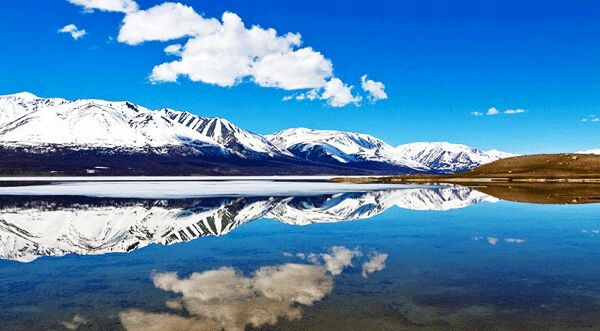 A serene landscape displays the Altai Mountains in the background, their snow-capped peaks reflecting in the clear, calm waters of a lake. The bright blue sky is dotted with fluffy clouds, enhancing the view's natural beauty.