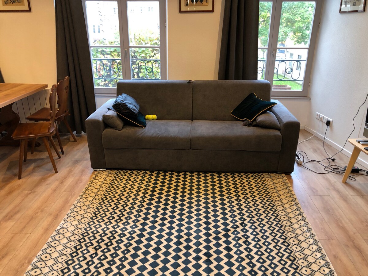 Propriété Airbnb réussie: Large 2-room apartment in the center of Strasbourg with Cathedral view à Strasbourg