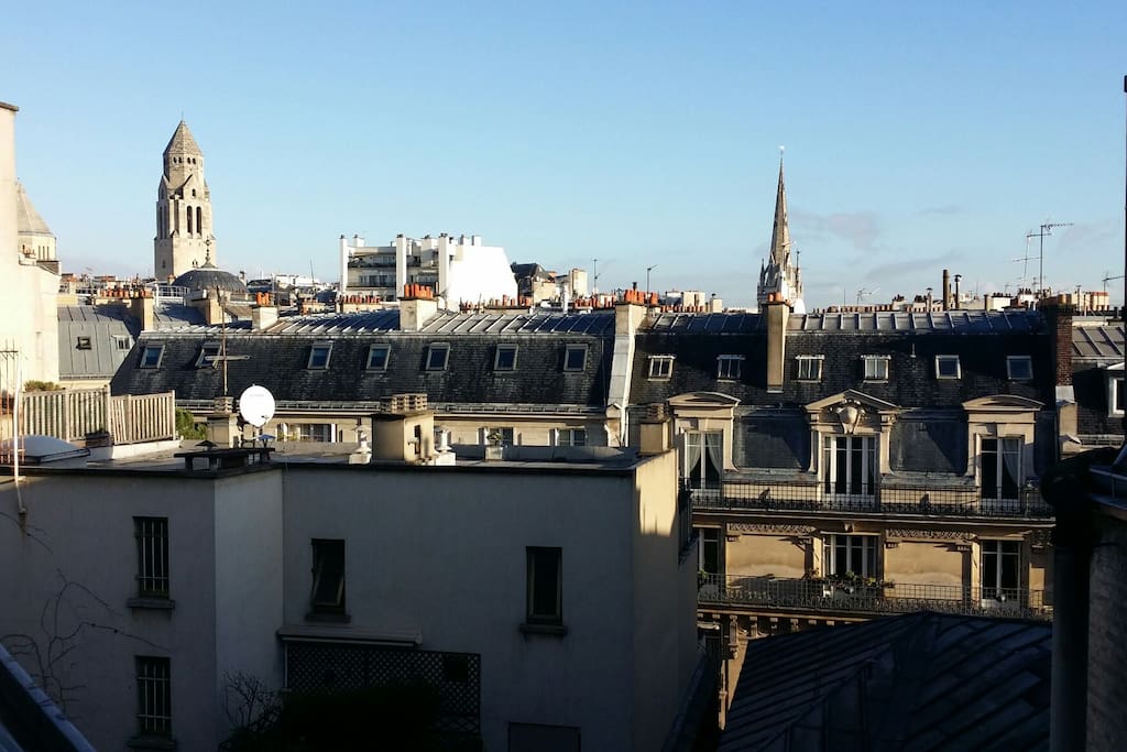 Studio's View