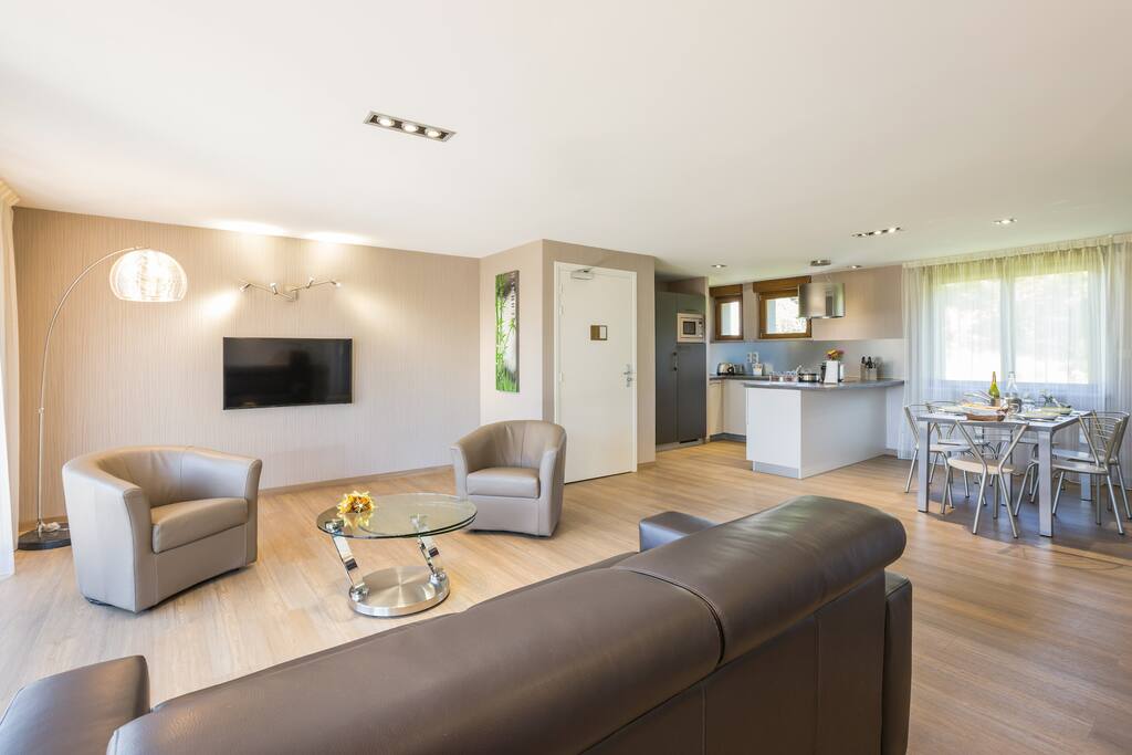 coin salon avec fauteuils et canapé en cuir- appartement Pic du Lizieux