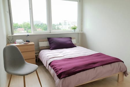 Comfortable room in Geneva with private bathroom