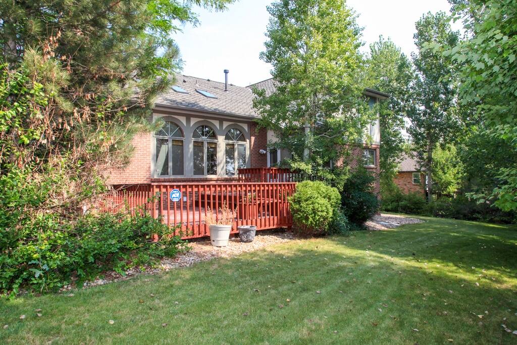 Backyard/patio