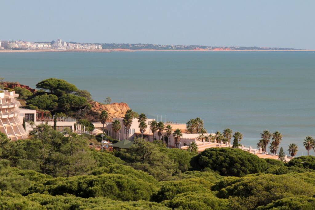 Vista
