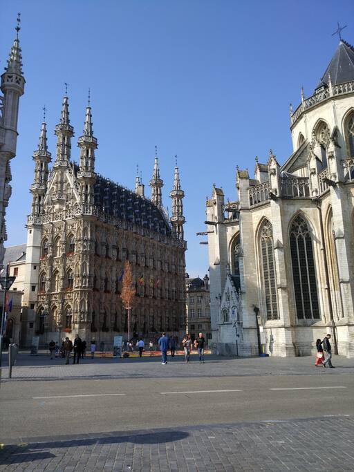 Leuven city hall 2