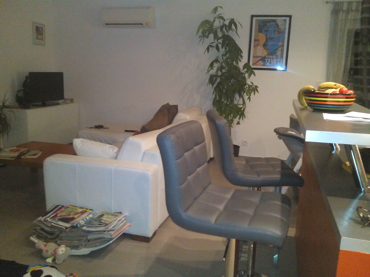 dnevni boravak: udoban kauč na razvlačenje (pravi krevet s oprugama i pravi madrac)+ meridijan, stolić, TV. DVD player