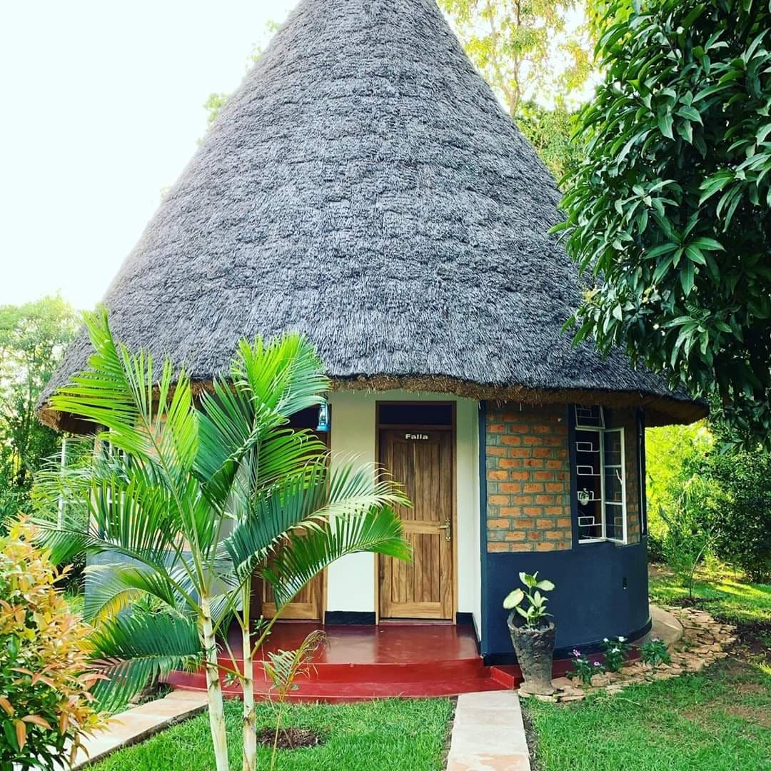 A round, thatched-roof structure is surrounded by a green lawn and tropical plants. The entrance features wooden doors, and large windows allow natural light to flood the interior. A stone path leads to the door, enhancing the inviting outdoor space.