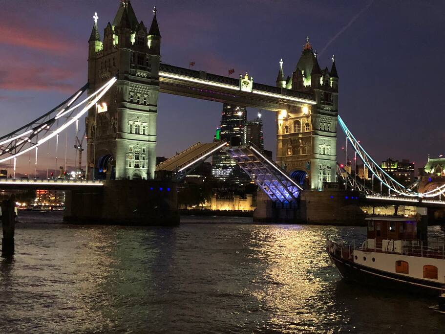 THE VIEW