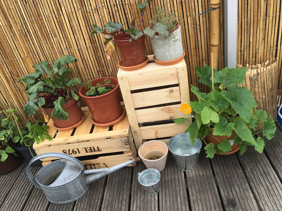 Rooftop terrace