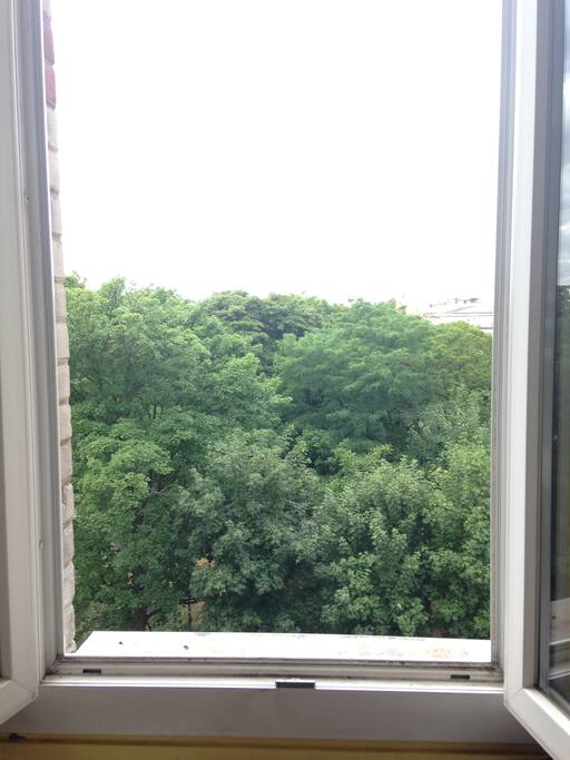 Charming view on the trees :)