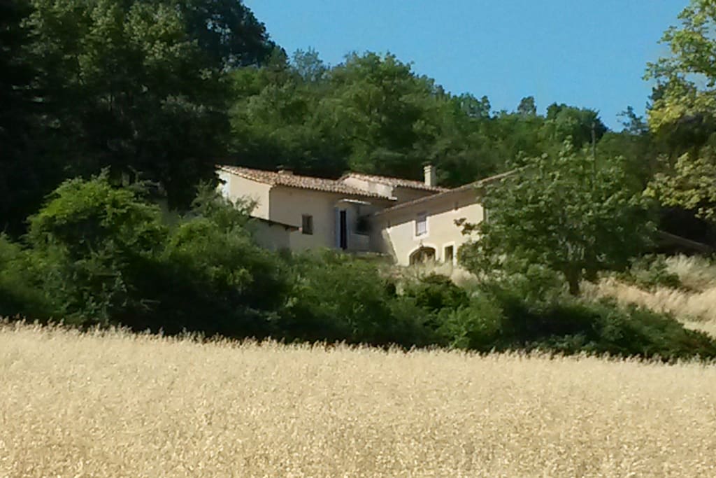 Mas perdu dans les arbres