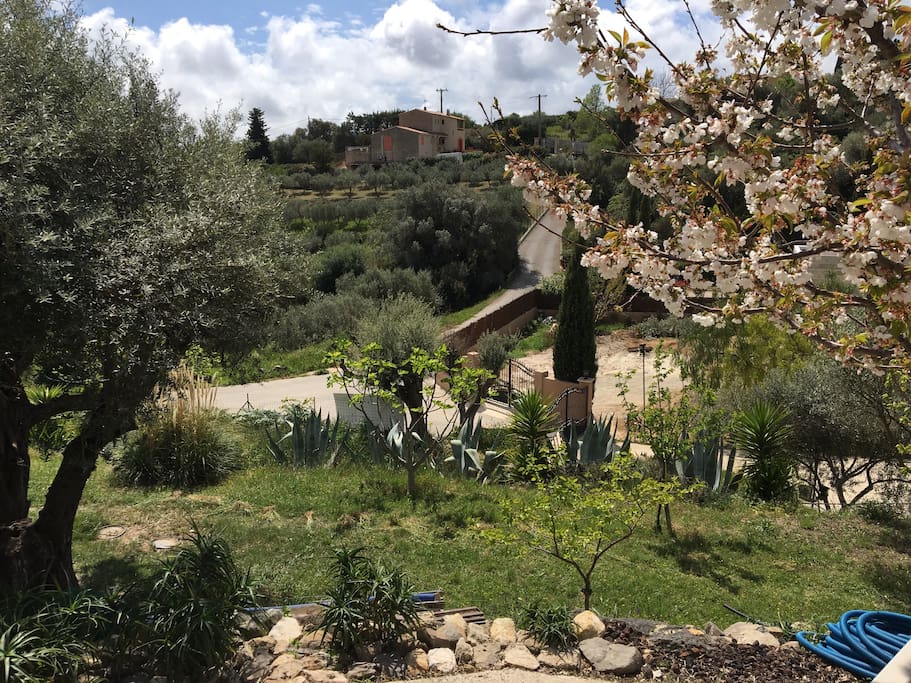 Vue jardin