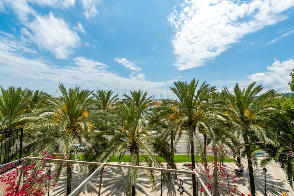 Appartamenti A Palma De Mallorca Appartamenti A Palma De Mallorca