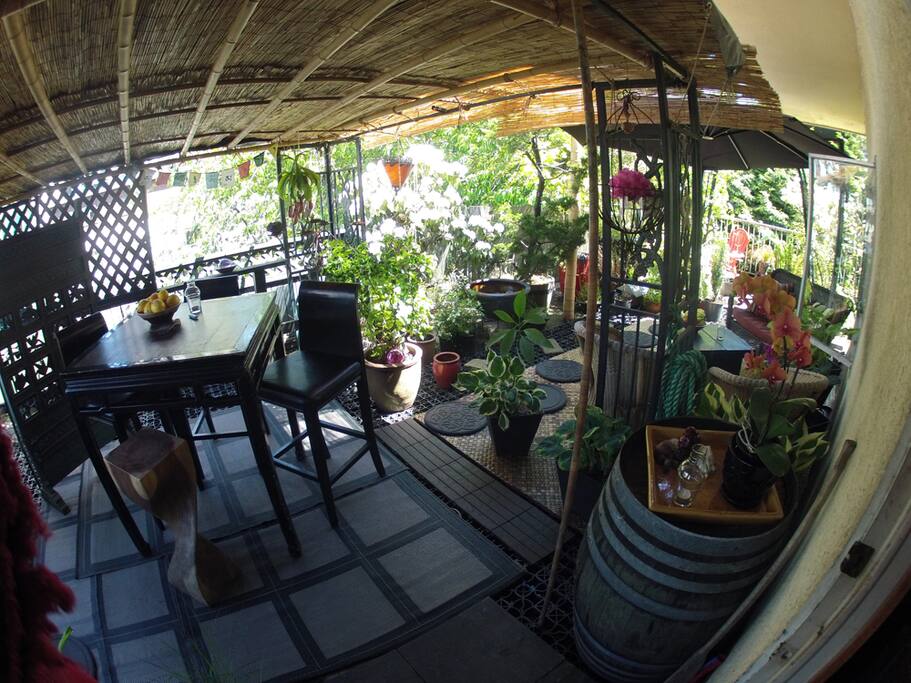 Taken from the entrance to the garden spaceS.