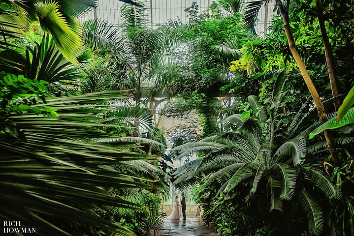 Beautiful house in centre of Kew with free parking