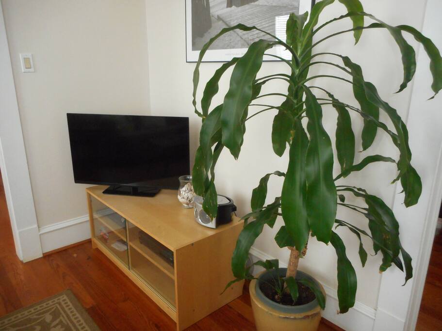 Cable TV w/DVD Player