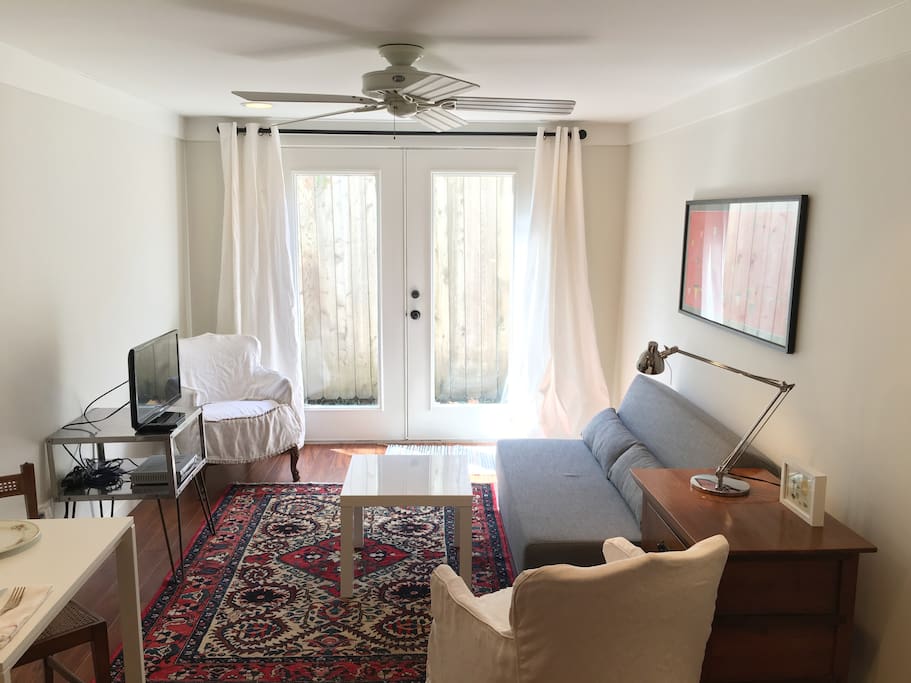 Light filled living space with fold out full size sofa