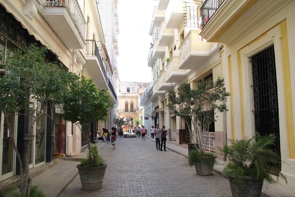 Calle Teniente Rey ( Brasil)