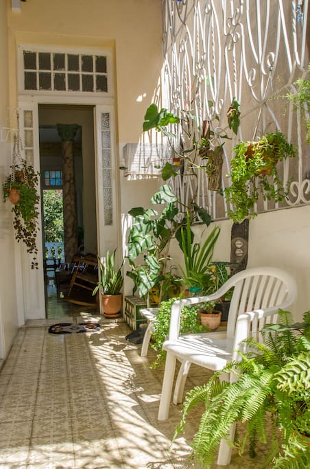 Plants