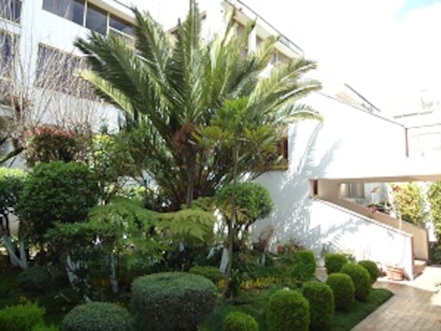 Jardín Frontal
