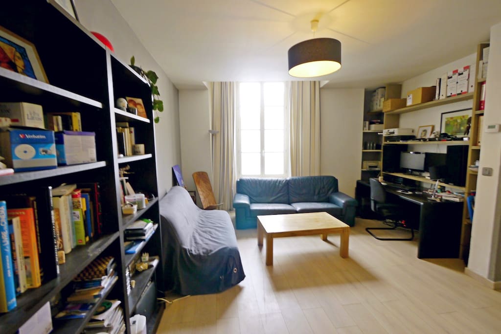 grand séjour très lumineux avec canapé lit