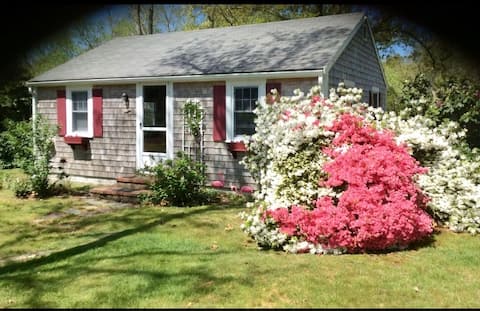 Bright and Sunny Cranberry Cottage #11