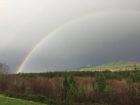 Wynoochee Valley Angler Lodge