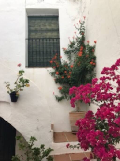 Subida a casa