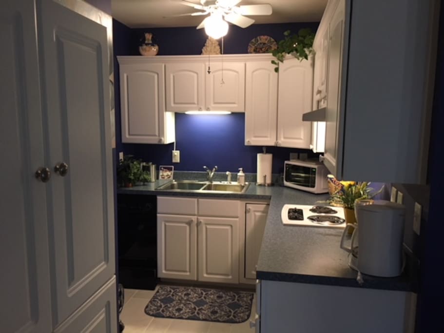 Kitchen w microwave and two-burner stove. No oven but one can be made available if necessary.