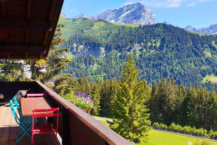 Chalet Apt Villars-Gryon, 2BdR, 2min from ski lift gallery image 5