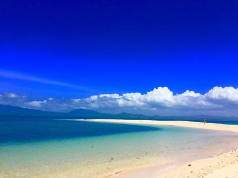Belles native treehouse on the sea