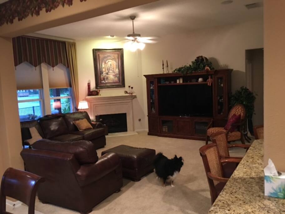 Living room.