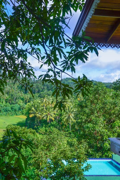 view from the balcony