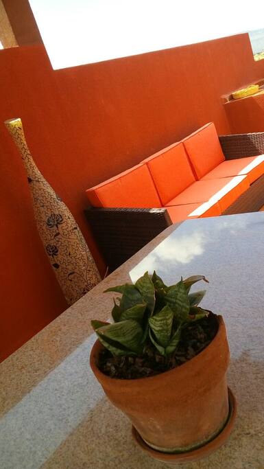 Roofgarden