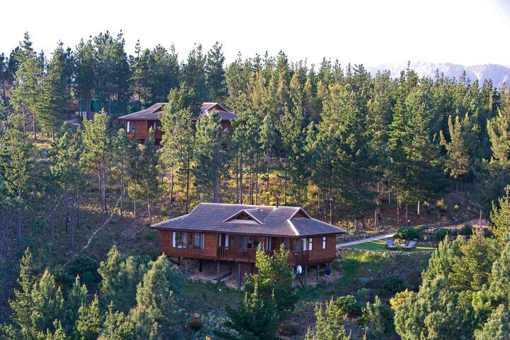 Phezulu lodge – hideaway close to Cape Town gallery image 2