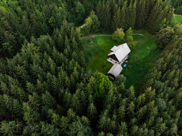 Idyllic, family-friendly mountain cabin "Seidl"