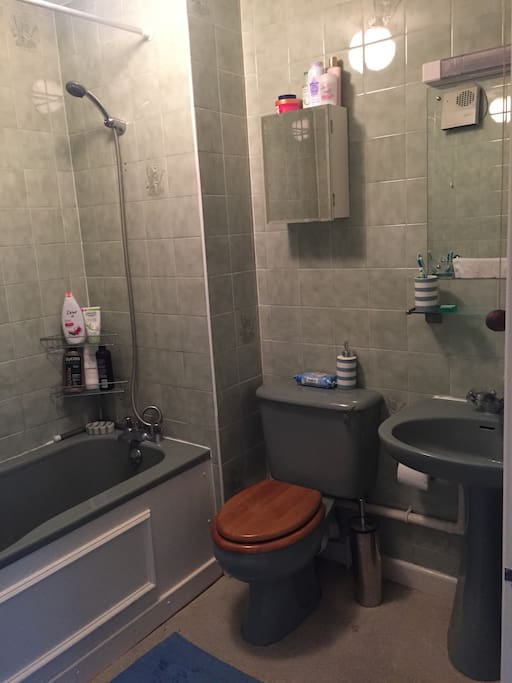 El Bano / Toilet and Shower