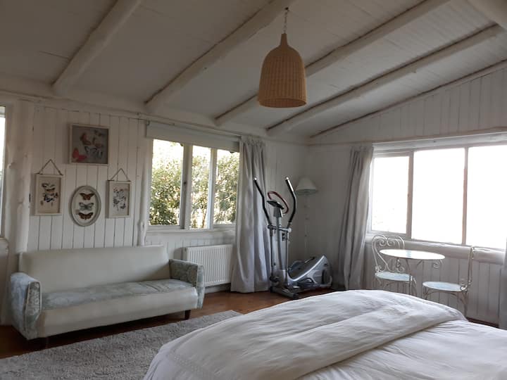 Მთავარი ოთახი.
Საკითხავი და ელიფსური სექტორი