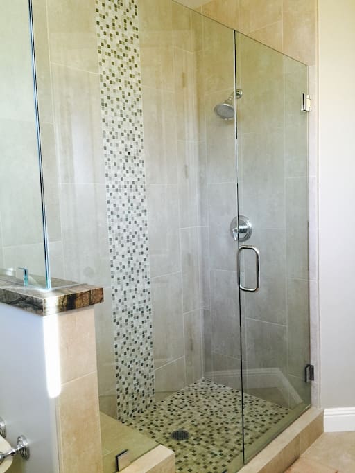Guest Bathroom Shower