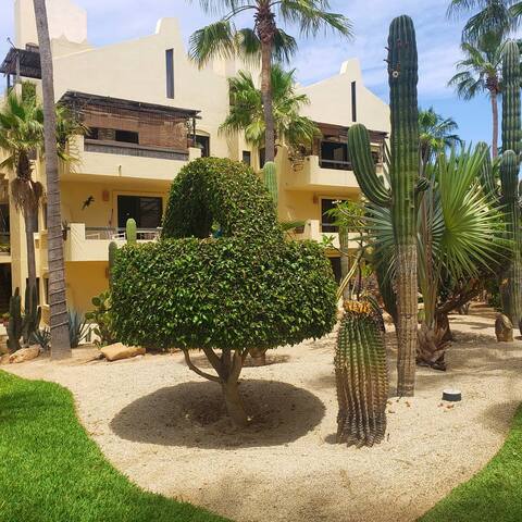 San Jose Del Cabo Vacation Rentals Homes Baja California Sur Mexico Airbnb