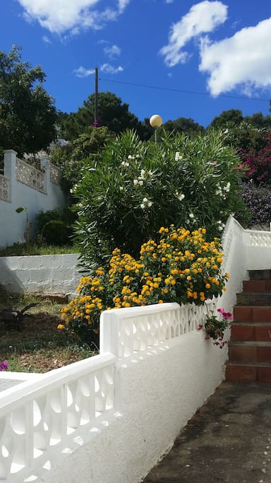Lovely gardens with indigenous plants, trees and shrubs
