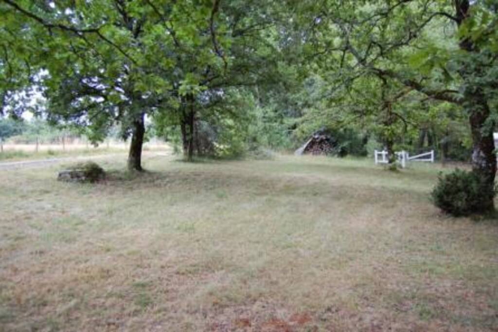 5 000 m² de terrain arboré