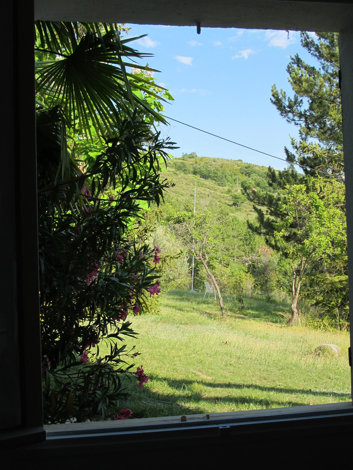 A view is framed by the window, showcasing lush greenery and colorful flowering plants outside. The landscape features gentle hills dotted with trees under a clear blue sky, offering a serene natural setting.