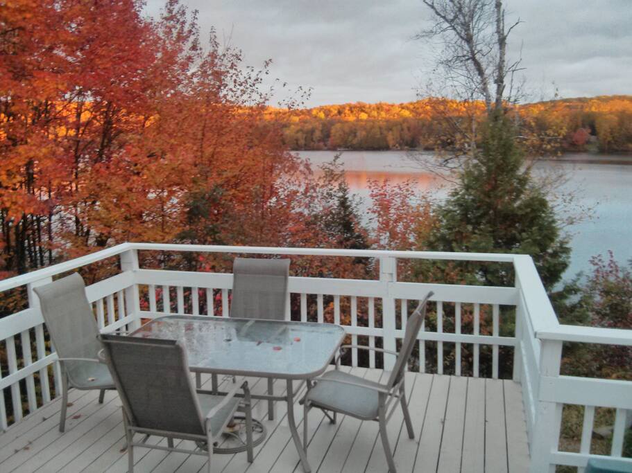 Glorious fall colors