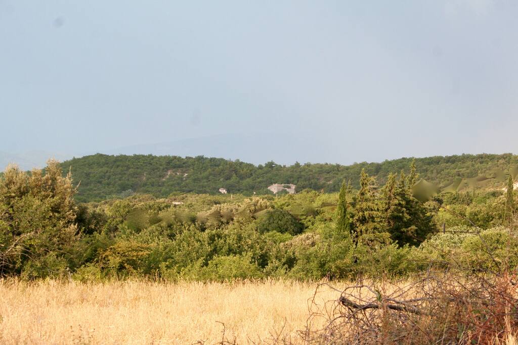 La propriété (ferme à droite et petite Lauze, à gauche) au bord de la réserve naturelle